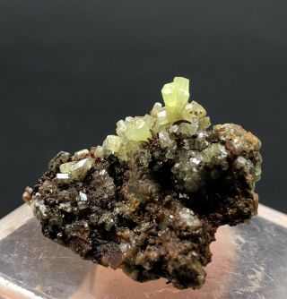Natural green PYROMORPHITE Crystal Mineral Specimen 2