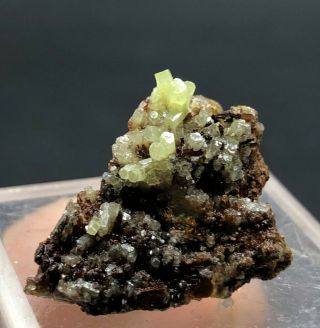 Natural green PYROMORPHITE Crystal Mineral Specimen 4