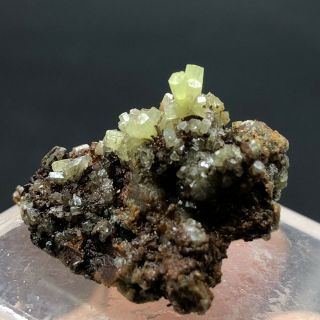 Natural green PYROMORPHITE Crystal Mineral Specimen 5