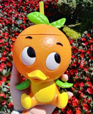 Disney World Orange Bird Sipper Epcot Flower And Garden Festival
