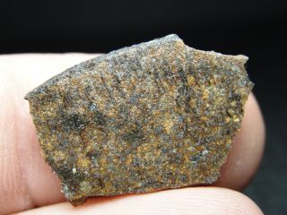 Nwa 11000 Official Meteorite H4 - S3 - W2 Chondrite - G669 - 0017 - 1.  87g W/coa - Case