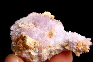35g Newly Discovered Natural Fish - Eye,  Zeolite Mineral Samples