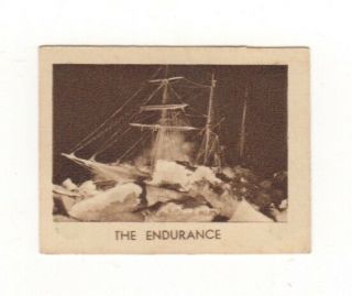 Australian Issued Ernest Shackleton’s Ship The Endurance Stuck In Ice Antarctic