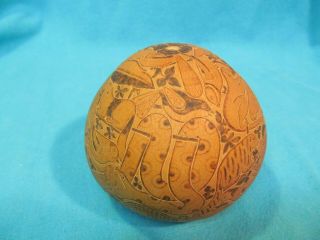3 1/2 " Peruvian Folk Art Carved Gourd Animals Snake Birds Toucan Monkey Owl