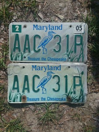 Maryland License Plate Set Treasure The Chesapeake Fast