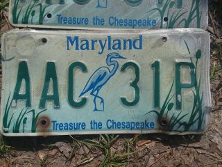 Maryland license plate Set Treasure the Chesapeake FAST 2