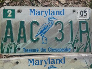 Maryland license plate Set Treasure the Chesapeake FAST 3