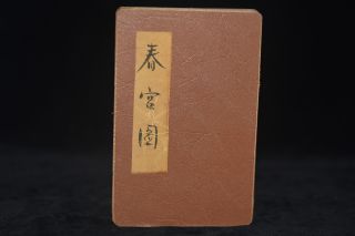 Old China Hand - Painting Shunga Artistic Erotic Viusal Painting Book Rn3