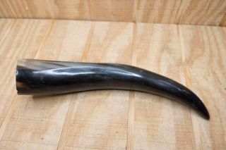 Vintage Polished Cow Cattle Horns Western Decor Power Horn Style