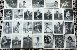 Bettie Page - Complete 50 - Card Set Of Bunny Yeager’s Jungle Land Set (, Dupes)