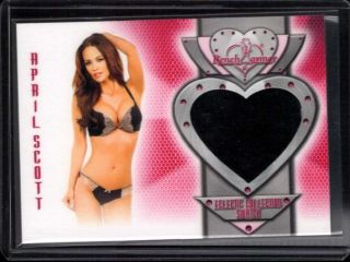 April Scott 2014 Benchwarmer Eclectic Swatch Ab1