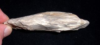 American Indian (OH) Flint Celt,  Axe,  Collectible Prehistoric Artifact 5