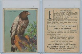 Fc1,  Harry Horne Co,  Nu - Jell,  Animals And Birds,  1925,  Snake Hawk