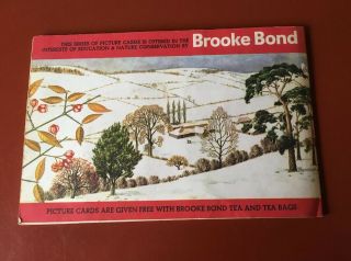 Brooke Bond Tea Card Album Trees of Britain Full Set of 50 2