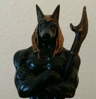 Anubis Ancient Egyptian God Of The Dead 10.  5 