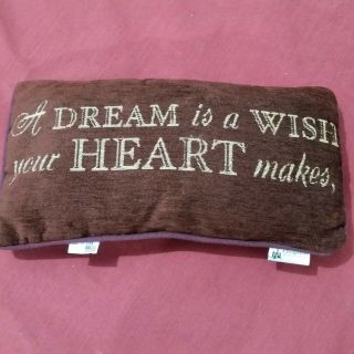 Disney Parks Authentic Throw Pillow A Dream Is A Wish Your Heart Makes