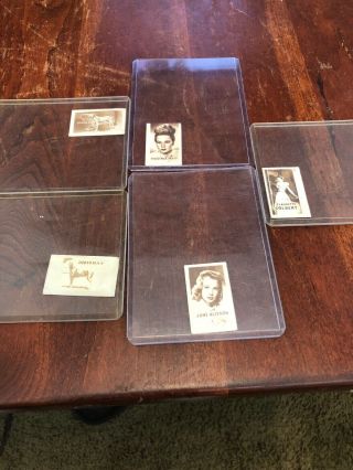 5 Cards 1948 Topps Magic Hocus Focus American Dogs/ Stars Of Stage And Screen