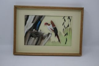 Vintage Birds Picture Made With Real Feathers Framed Under Glass