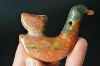 Chinese Hongshan Culture Old Jade Carved Bird/Cicada Amulet Pendant J35 2