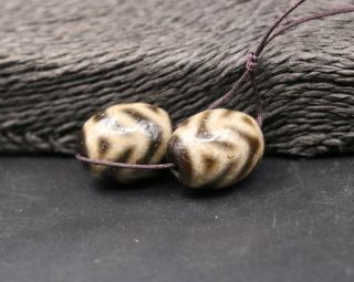 A Energy Tibetan Oily Old Agate Water Wave Daluo dZi Bead 20 16mm 3