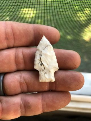 Florida Kirk Stemmed Arrowhead Native American Artifact