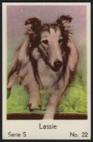 Lassie - 1957 Vintage Dutch Serie S Movie Star Gum Card 22