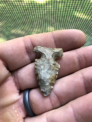 Big Sandy Arrowhead Indiana Native American Artifact Fossil Inclusion 4