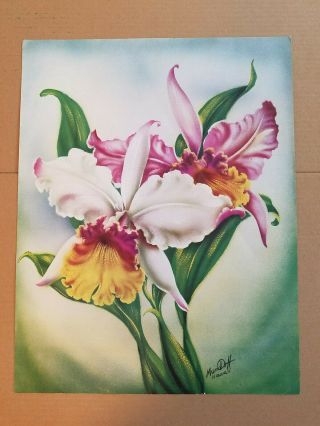 Vintage Ted Mundorff Print Hawaii Cattleya Orchid