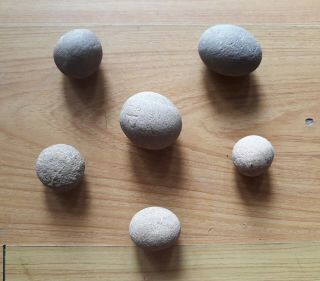 Assorment Of Susquehannock Indian Game Balls/nutting Stones/artifacts/pa