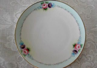 Vintage Meito Hand Painted Pink Roses / Blue Daisies Plate - Made In Japan