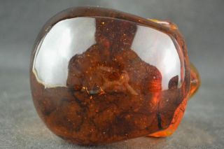 11.  5 cm Collectible Decorate Handwork Old Burmese amber carving skull statue 3