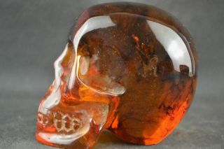11.  5 cm Collectible Decorate Handwork Old Burmese amber carving skull statue 4