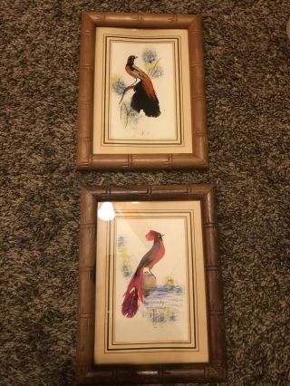 2 Vintage Bird Pictures With Real Feathers Made In Mexico