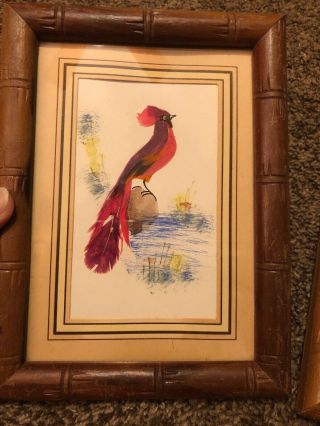 2 Vintage Bird Pictures With Real Feathers Made In Mexico 2