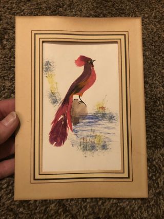 2 Vintage Bird Pictures With Real Feathers Made In Mexico 3