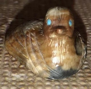 Zuni Carved Picasso Marble Bird Fetish Signed By Tyrone Poncho - Native American 5