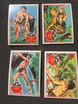 11 Vtg 1966 Banner Tarzan Trading Card Group 5