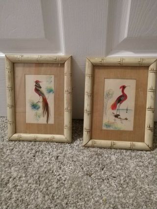 Vintage Mexican Folk Art Feathered Bird Picture Bamboo Frames 8.  5 X 6.  5 Inches