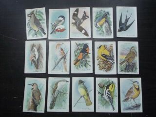 Church & Co & Arm & Hammer Useful Birds Of America Cards - 1oth Series Nos.  1 - 15