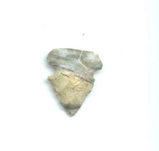 Indian Artifacts - Miniture Colored Dove Tail Point - Arrowhead