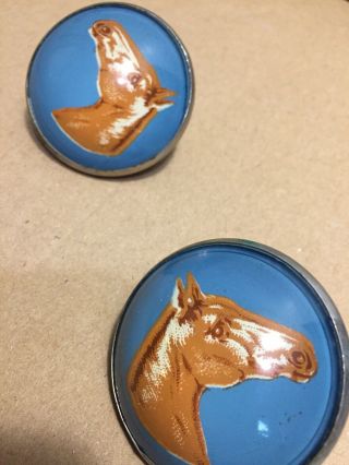 2 Matching Vtg Horse Bridle Rosette Baby Blue With Brown Horse