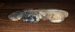 Long Zuni Carved Picasso Marble Lizard Fetish Signed By Fitz Kiyite