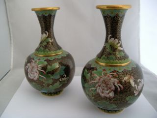 Vintage Chinese Cloisonne Vase Pr.  7.  5 " Spider Chrysanthmums.  Exquisite Jingfa