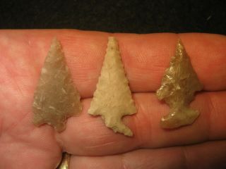 3 Authentic Central Texas Bird Point Arrowheads,  Prehistoric Indian Artifacts