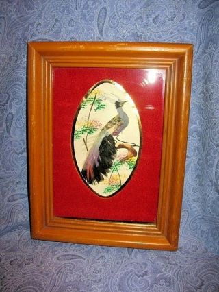 Vintage Mexican Folk Art Framed Feather Craft Bird Picture Oval Red Velvet Mat