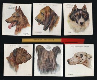 6 Wills World Renowned Cigarette Cards Dogs Linen - On - Card Alsatian Wolf,  5
