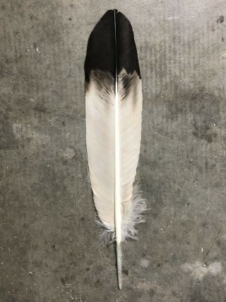 Best Imitation Eagle Feather,  Powwow Regalia,  Peyote Fan,  Smudge,  Dyed
