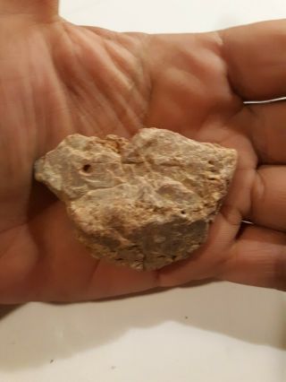 Rarelovely Nat.  American/indian/carved Stone - Bird Effigy/relic/artifact/arrowhead