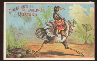 Victorian Trade Card Advertising Colburn 