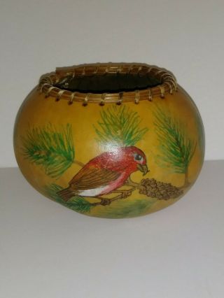 Native American Vintage Gourd Bowl,  Hand Painted Bird & Pine Tree